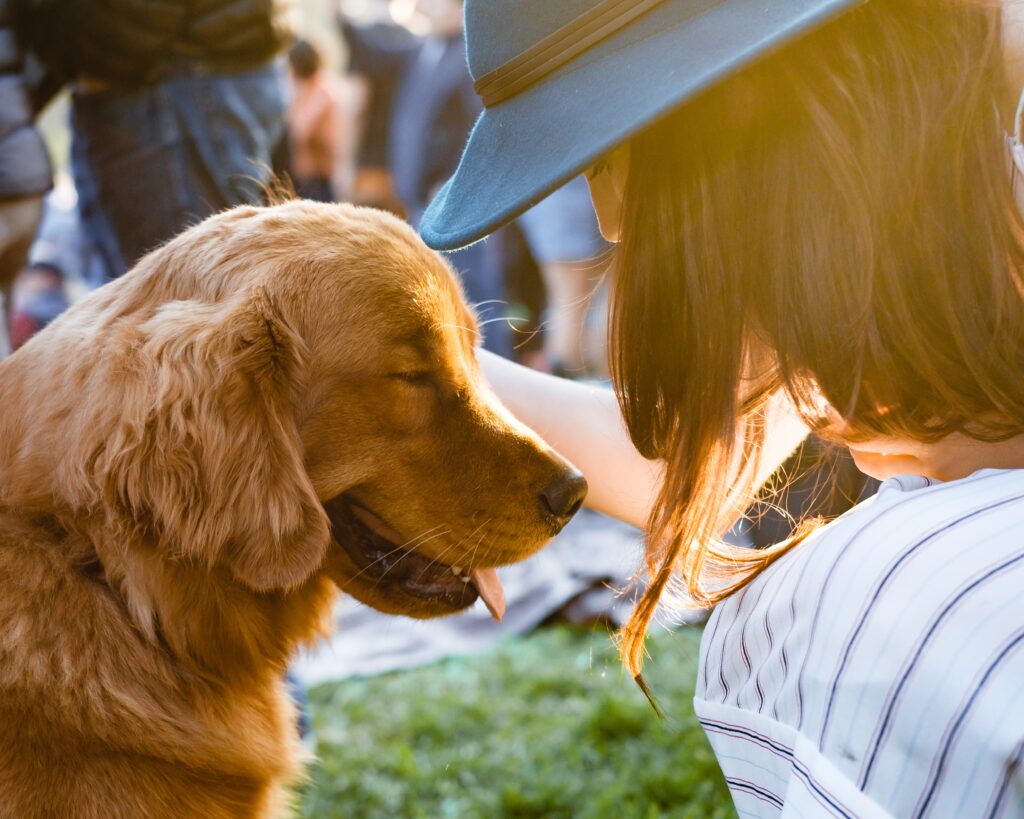 人と触れ合う犬