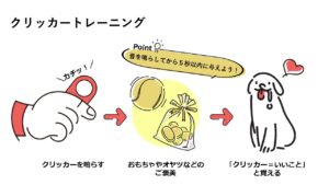 クリッカートレーニングの図