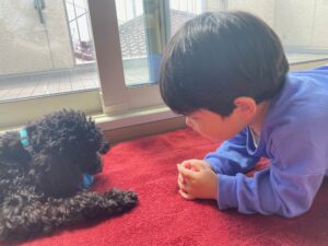 幼児と犬