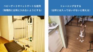 誤食の対策方法