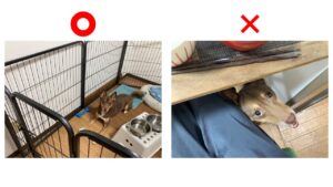 食事中の対策