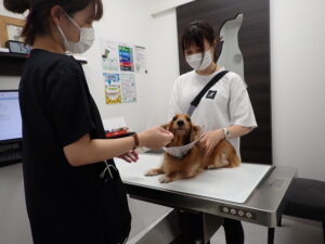 手術後の再診察