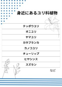 身近にあるユリ科の一覧