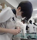 遠藤（愛玩動物看護師）